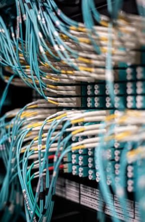 Whatznot Solution Preview